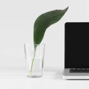Concepto de marca con un fondo blanco con un laptop - Agencia de Branding