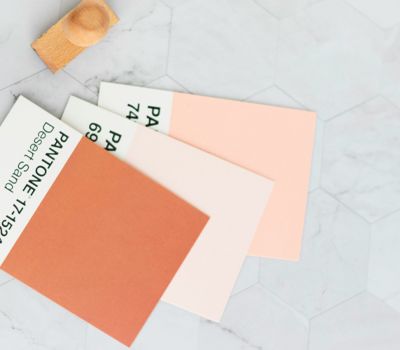 Folleto con paleta de colores para la creación de marca
