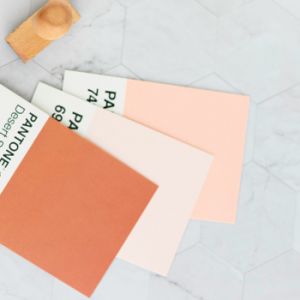 Folleto con paleta de colores para la creación de marca