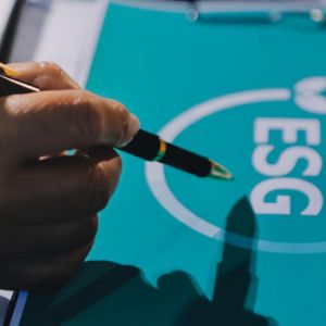 Desarrollo de marca mostrando el futuro del branding para startups en tecnología y logística